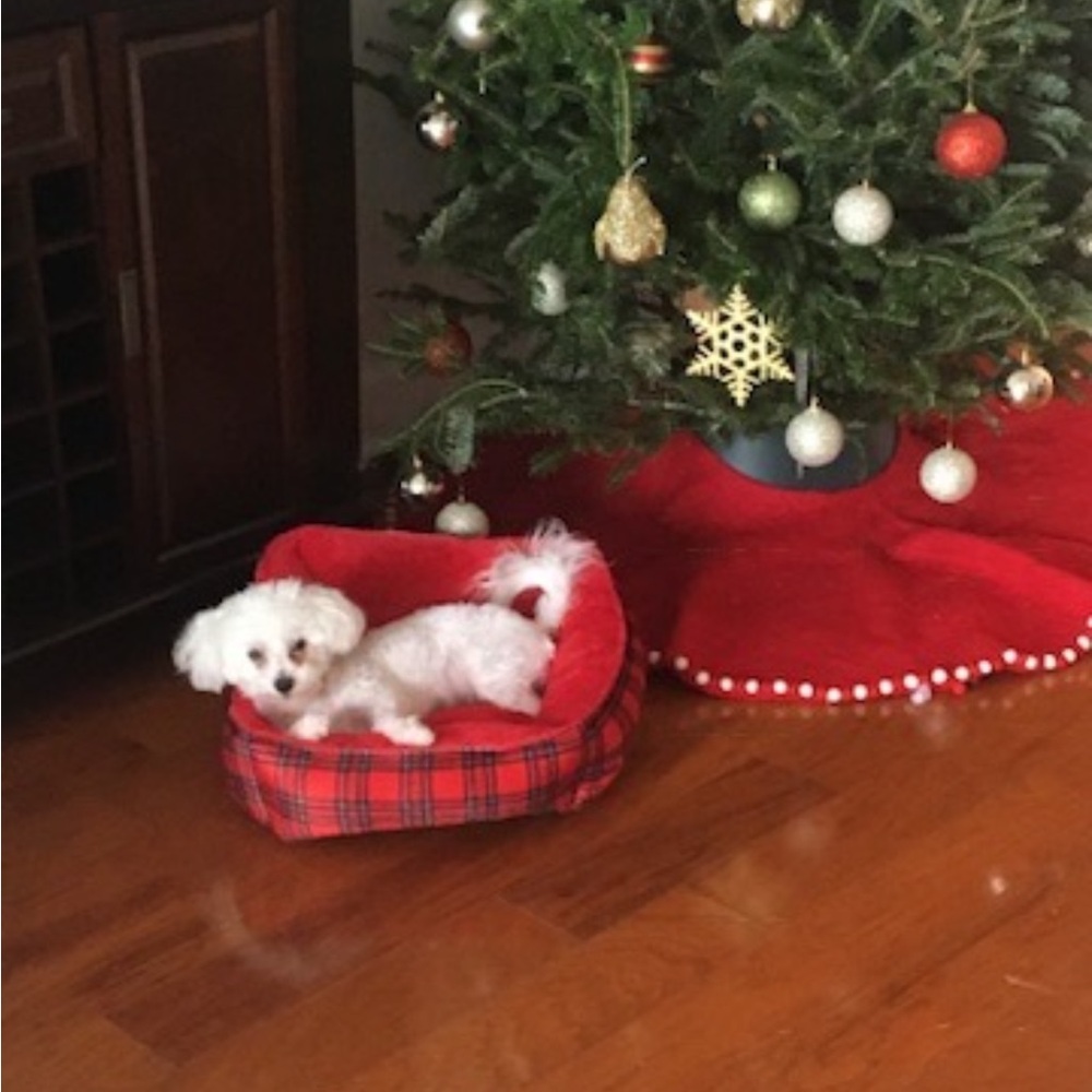 West elm tree skirt